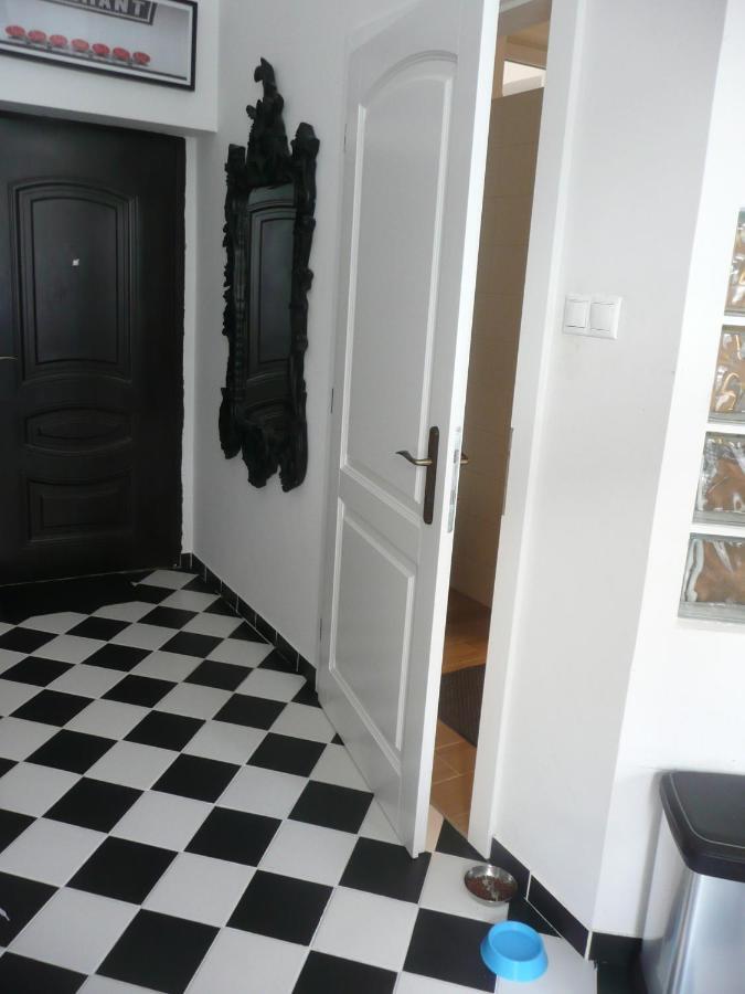 Apartment Modern City Center Location: Party, Sightsee, Rest
